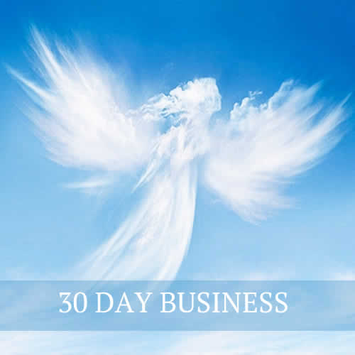 Distance Healing 30 Day Business